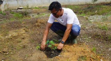 Manfaatkan Lahan Idle, Lapas Narkotika Langkat Wujudkan Ketahanan Pangan Lewat Budidaya Hortikultura Pepaya California